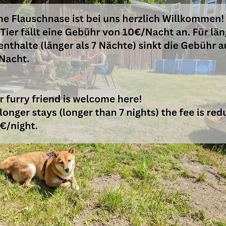 H1 - Urlaubsmagie - Pool & Terrasse Zum Entspannen Sebnitz Buitenkant foto