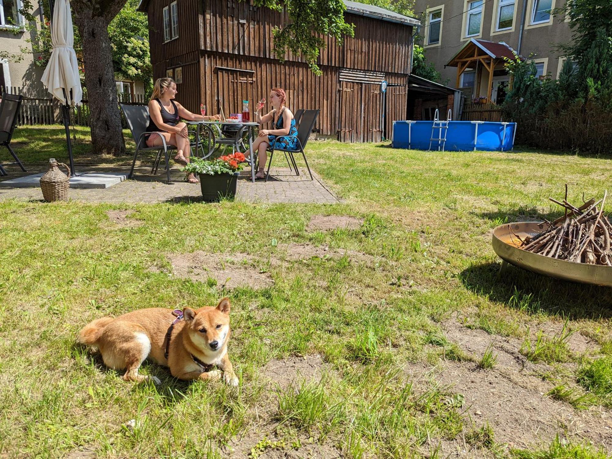 H1 - Urlaubsmagie - Pool & Terrasse Zum Entspannen Sebnitz Buitenkant foto